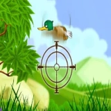Duck Shooter