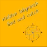 Hidden labyrinth - find and catch