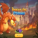 Rescue The Princess