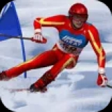 Slalom Ski Simulator