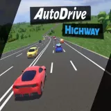 Auto Drive: Highway