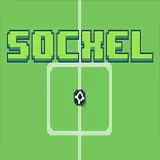 Socxel
